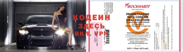 крисы Богородск