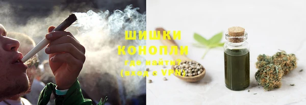 крисы Богородск