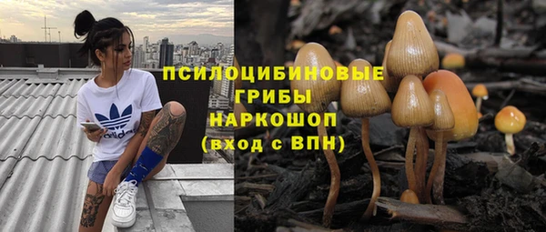 крисы Богородск