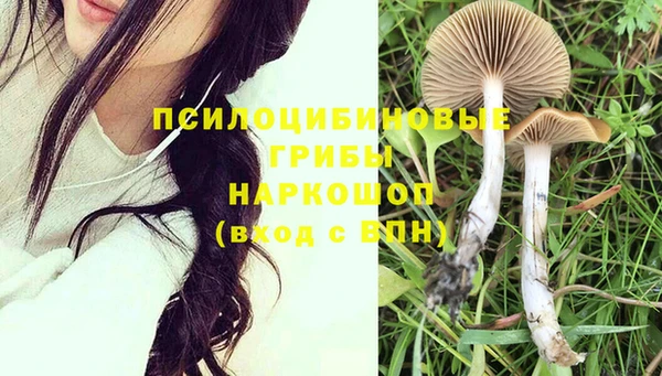 синтетический гашиш Богородицк