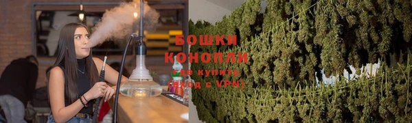 крисы Богородск