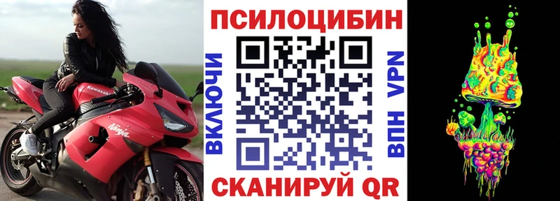 Купить где  Яблоновский  Галлюциногенные грибы Psilocybine cubensis 